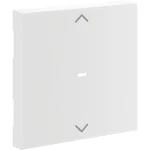 Hager GW1AC9016 Wippe 1-fach mit Pfeile für Tastsensormodul für Rahmenblende 55 hfr verkehrsweiß 