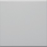 Hager GW1B7035 Wippe 1-fach für Schalter/Taster für Rahmenblende 55 halogenfrei lichtgrau 