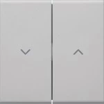 Hager GW2AB7035 Wippe 2-fach für Jalousieschalter, für Rahmenblende 55, hfr, lichtgrau 