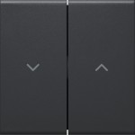 Hager GW2AB9011 Wippe 2-fach für Jalousieschalter für Rahmenblende 55 halogenfrei graphitschwarz 