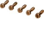Hager KZ062 Zylinder-Blechschraube 3,5x12,0 +/- PZ1 für Befestigung der PE/N-Klemmen 