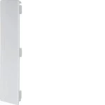 Hager LF6023067035 Endstück halogenfrei zu Leitungsführungskanal LF/FB 60x230mm lichtgrau 