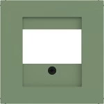Hager WAF1104C04 Zentralstück mit Ausschnitt für TAE, Lautsprecher, USB, Ax/Cx, aloe, matt 