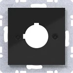 Hager WAF1172BG Zentralst. f. Melde- u. Befehlsger. Ø 22,5mm, Ax/Cx, n.schwarz gl 