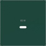 Hager WAF1511C07 Zentralstück für Ladesteckdose USB-C Power Modul, Ax/Cx, jade, halbglänzend 