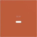 Hager WAF1511C13 Zentralstück für Ladesteckdose USB-C Power Modul, Ax/Cx, canyon, matt 