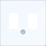 Hager WAF2105WG Zentralplatte mit TAE-Ausschnitt, ausbrechbar, A.x/C.x,lichtweiß glänz 