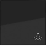 Hager WAW1012BG Wippe 1fach mit Aufdruck Symbol für Licht, A.x/C.x, nachtschwarz glänzend 