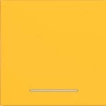 Hager WAW1031C16 Wippe 1fach, klare Linse, A.x/C.x, saffron, matt 