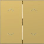 Hager WAW2002C08 Wippe 2fach mit Aufdruck Symbol Pfeile, A.x/C.x, gold, metallisch 