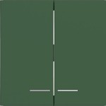 Hager WAW2031C10 Wippe 2fach, klare Linse, A.x/C.x, forest, matt 