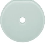 Hager WTD7671GWG Glas-Endplatte Schalter Serie Glas pw 