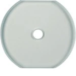 Hager WTD7672GT Gl.mittelplatte Schalter Serie Glas klar 