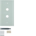 Hager WZD7200GW Glasabdeckplatte 2f. polarweiß System TS