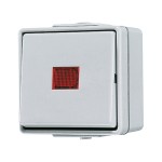 JUNG 606KOW Wipp-Kontrollschalter, Universal Aus-Wechsel, AX 250 V ~, IP 44, WG 600 