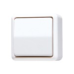 JUNG 607AWW Wippschalter, Kreuz, 10 AX 250 V ~, AP 600 