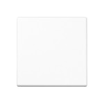 JUNG A101BFWW Wippe für KNX Taster, F10, Thermoplast, Serie A, alpinweiß 