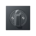 JUNG A1541BFANM Abdeckung für Drehschalter 1fach, Thermoplast lackiert, Serie A, anthrazit matt 