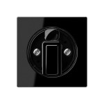 JUNG A1541SW Abdeckung für Drehschalter 1fach, Duroplast, Serie A, schwarz 