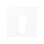 JUNG A525PLWW Abdeckung für Schlüsselschalter ohne Demontageschutz 1fach, Thermoplast, Serie AS/A, alpinweiß 