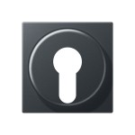 JUNG A528PLANM Abdeckung für Schlüsselschalter mit Demontageschutz 1fach, Thermoplast lackiert, Serie A, anthrazit matt 