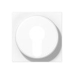 JUNG A528PLWW Abdeckung für Schlüsselschalter mit Demontageschutz 1fach, Thermoplast, Serie AS/A, alpinweiß 