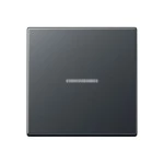 JUNG A590BFKO5ANM Wippe 1fach, mit Lichtleiter, Thermoplast lackiert, Serie A, anthrazit matt 