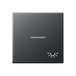 JUNG A590BFKO5LANM Wippe 1fach, Symbol Licht, mit Lichtleiter, Thermoplast lackiert, Serie A, anthrazit matt 