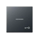 JUNG A590BFKO5TANM Wippe 1fach, Symbol Tür, mit Lichtleiter, Thermoplast lackiert, Serie A, anthrazit matt 