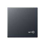 JUNG A590BFTANM Wippe 1fach, Symbol Tür, Thermoplast lackiert, Serie A, anthrazit matt 