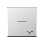 JUNG A590KO5LAL Wippe 1fach, Symbol Licht, mit Lichtleiter, Duroplast lackiert, Serie A, aluminium 