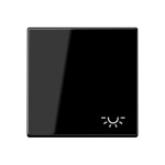 JUNG A590LSW Wippe 1fach, Symbol Licht, Duroplast, Serie A, schwarz 