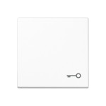 JUNG A590TWW Wippe 1fach, Symbol Tür, Duroplast, Serie A, alpinweiß 