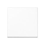 JUNG A590WW Wippe 1fach, Duroplast, Serie A, alpinweiß 