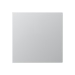 JUNG A594-0PLAL Blind-Abdeckung (gerastet) Zentralplatte, Thermoplast lackiert, Serie A, aluminium 