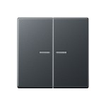 JUNG A595BFKO5ANM Wippe 2fach, mit Lichtleiter, Thermoplast lackiert, Serie A, anthrazit matt 