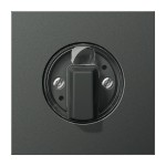 JUNG AL1941AN Abdeckung für Drehschalter 1fach, Aluminium lackiert, Serie LS, anthrazit 
