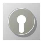 JUNG AL2928 Abdeckung für Schlüsselschalter mit Demontageschutz 1fach, Serie LS, Aluminium 