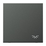 JUNG AL2990LAN Wippe 1fach, Symbol Licht, Aluminium lackiert, Serie LS, anthrazit 
