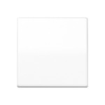 JUNG AS591BFSWW Wippe mit Schraubbefestigung 1fach, Thermoplast, Serie AS, alpinweiß 