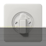 JUNG CD1541LG Abdeckung für Drehschalter 1fach, Duroplast, Serie CD, lichtgrau 