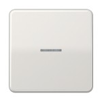 JUNG CD590KO5LG Wippe 1fach, mit Lichtleiter, Duroplast, Serie CD, lichtgrau 