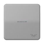 JUNG CD590KO5LGR Wippe 1fach, Symbol Licht, mit Lichtleiter, Duroplast, Serie CD, grau 