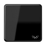 JUNG CD590LSW Wippe 1fach, Symbol Licht, Duroplast, Serie CD, schwarz 