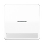 JUNG CD590NAKO5WW Wippe 1fach, mit Schriftfeld, mit Lichtleiter, Duroplast, Serie CD, alpinweiß 