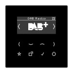 JUNG DABLSSW Smart Radio DAB+, Serie LS, schwarz 