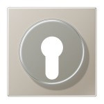 JUNG ES2928 Abdeckung für Schlüsselschalter mit Demontageschutz 1fach, Serie LS, Edelstahl 