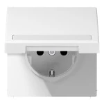 JUNG LS1520BFNAKLWW SCHUKO®-Steckdose, 16 A 250 V ~, mit Schriftfeld, SAFETY+, Klappdeckel, Thermoplast, Serie LS, alpinweiß 