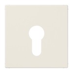 JUNG LS925 Abdeckung für Schlüsselschalter ohne Demontageschutz 1fach, Thermoplast, Serie LS, weiß 