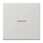 JUNG LS990KO5LG Wippe 1fach, mit Lichtleiter, Duroplast, Serie LS, lichtgrau 